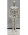 MODELO ACUPUNTURA HOMBRE 52 CM