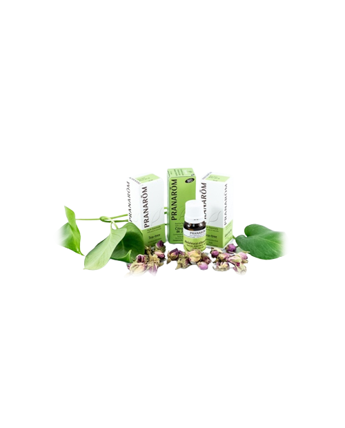 ACEITE ESENCIAL CANELA DE CEILAN 5 ML PRANAROM