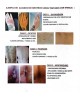 CREMA HEMORROIDES