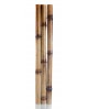 CAÑAS DE BAMBU CORPORAL SET 3 UNIDADES