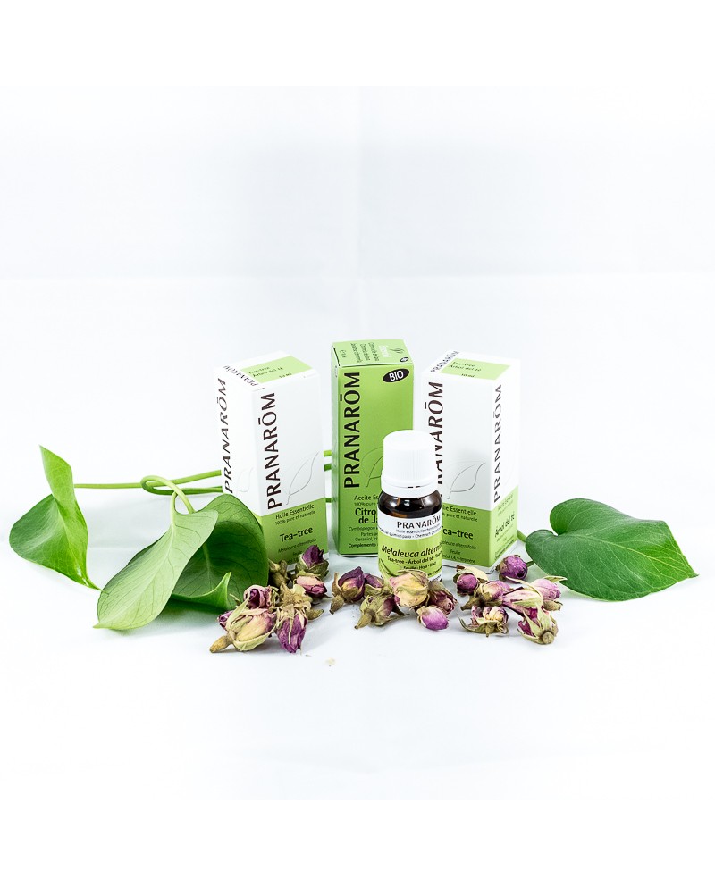 A.E ZANAHORIA  quimiotipo 5ml PRANAROM