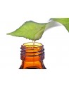 ACEITE ESENCIAL  VERBENA EXOTICA BIO 10ML PRANAROM